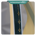 سرویس ونکلیف و گوی البرنادو - تصویر 4